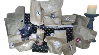 Adventskalender für Ratten Katles Bastelwerkstatt Adventskalender für Ratten Katles Bastelwerkstatt
