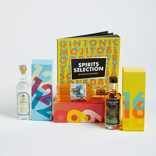 Limitierter Premium-Spirituosen Adventskalender 2023 | Whisky, Gin, Rum, Vodka, Likör | 24 Miniaturflaschen inklusive Cocktail Shaker Set und Booklet variant