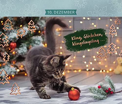 24 Katzenträume: Postkarten-Adventskalender (Adventskalender für Erwachsene: Ein Aufstell-Buch) variant