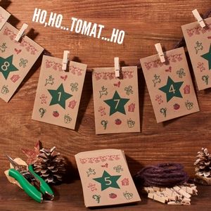 Bio Saatgut Adventskalender Tomate