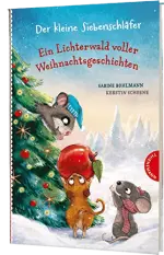 Du spinnst wohl! Adventsgeschichte