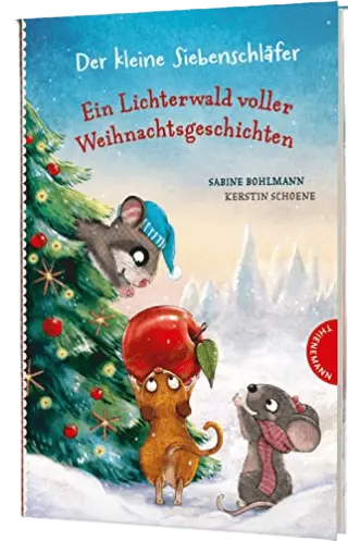 Bücher-Adventskalender