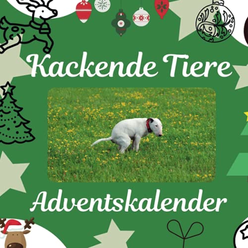 Kackende Tiere: Adventskalender