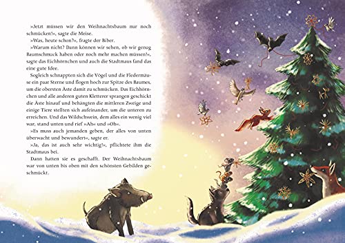 Bücher-Adventskalender Bücher-Adventskalender