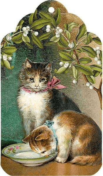 Zettelkalender – Katzen im Advent Zettelkalender – Katzen im Advent