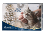 Effol Adventskalender