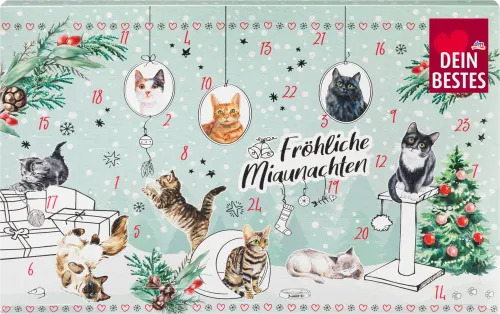 Adventskalender 2021 für Katzen