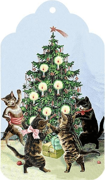 Zettelkalender – Katzen im Advent Zettelkalender – Katzen im Advent