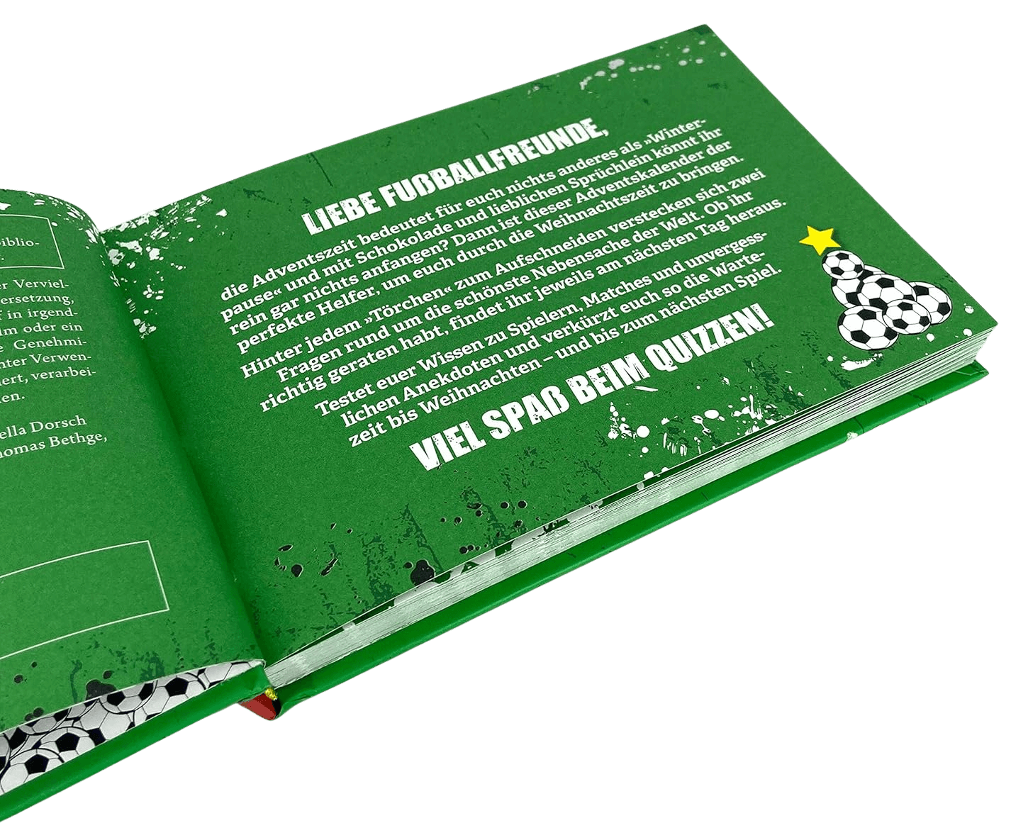 Bücher-Adventskalender Bücher-Adventskalender