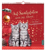 Findet den Schatz! Escape Adventskalender