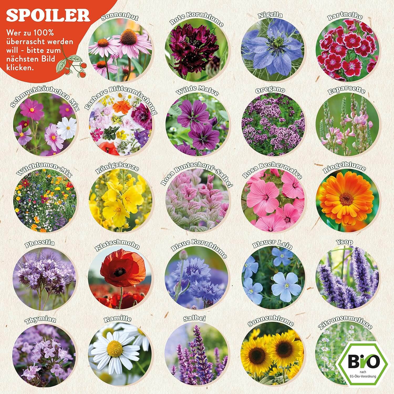 BIO Saatgut Adventskalender Blumen BIO Saatgut Adventskalender Blumen