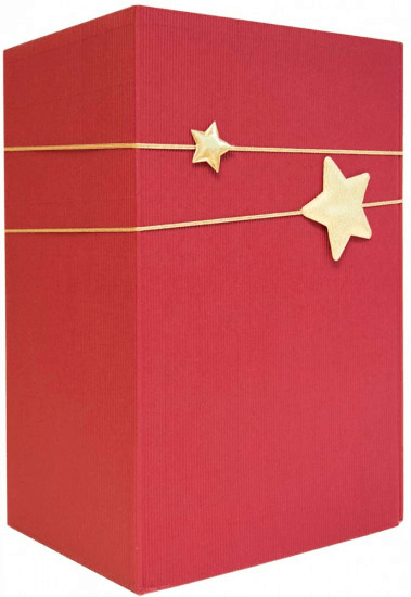 Harth Adventskalender mit 6 Weinen bei WirWinzer bestellen
